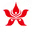 Hong Kong Airline